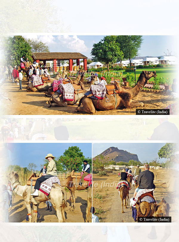 Local village camel safari (Geejgarh) Rajasthan pic-04