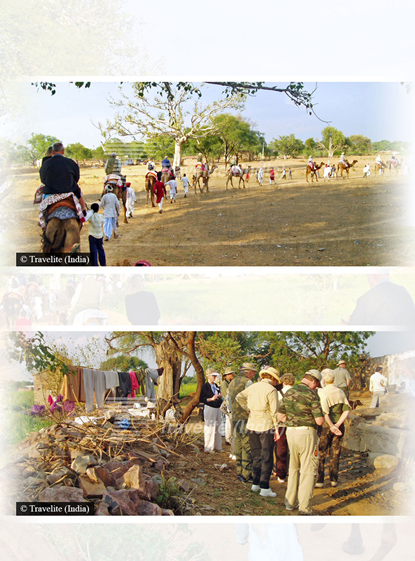 Local village camel safari (Geejgarh) Rajasthan pic-05