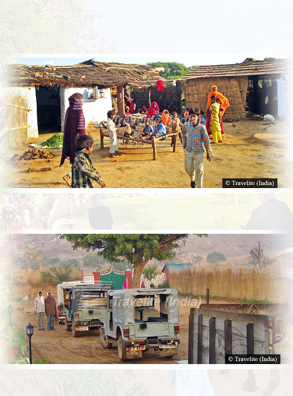 Local village camel safari (Geejgarh) Rajasthan pic-06